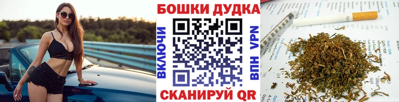 Канабис ГИДРОПОН  Онега 